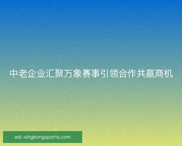 中老企业汇聚万象赛事引领合作共赢商机 中老企业汇聚万象赛事引领合作共赢商机